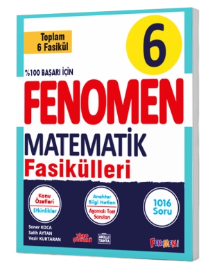 FENOMEN 6 MATEMATİK FASİKÜL SET
