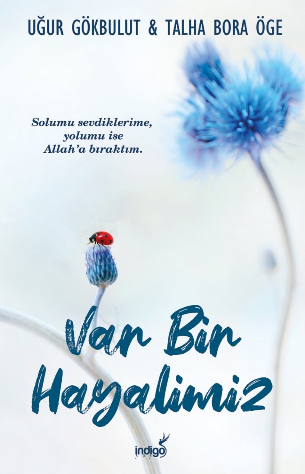 Ruhumun Kayıp Halkası
